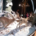 IMG_20191024_140638283