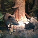 IMG_20191024_142245779