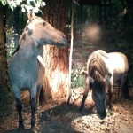 IMG_20191024_143004869