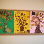 IMG_20191105_081153297