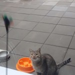 74155965_1239411896266019_9212682434485682176_n