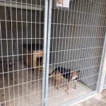 74984694_718537898622742_6840563273826304000_n