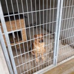 75371646_420589361959593_6878051878689570816_n