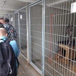 75603850_655755334830862_3796585583099248640_n