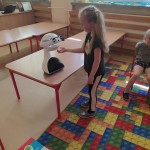 processed-ceb447fb-48af-43ea-9d67-3bc709225db7_AQEkKF4W