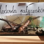 IMG_20221007_094139_1