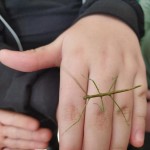 processed-9bfad035-1a36-4ed0-8d82-6315e774a356_ttDbfnA7