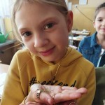 processed-ae18d8c4-f99a-4f08-8aee-916dfd31d689_6T5kByWg