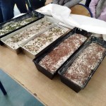 processed-447e3859-a201-433c-97a4-fa0a831ef410_4uBciyYP