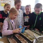 processed-6812fbd3-cbf9-49ec-a27b-4c4d9aa580bd_WQOdhPGv