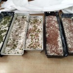 processed-9df6bcf5-aad2-4afb-9087-8d10599caabb_0dMceRUG