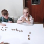 processed-2b4d5d9e-133d-4b2c-bf55-204789aea20b_AZjEs86N