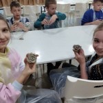 processed-7dee20da-deb4-46b4-b276-4fbed0ce1e53_bmlaOS4N