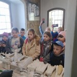 processed-b027ee2d-6387-4f6c-b9b7-4067b94010e6_t4gF5bew