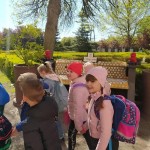 processed-e9aa2676-c73f-4660-bdf8-4e690a7dd1d9_Jz28l9Fj