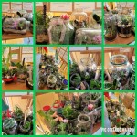 439246353_889293879665939_3815630521954475440_n