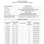 skan harmonogram 21.03-obrazy-7