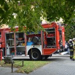 557771331_1260351145893542_5552645373735677760_n