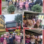 558406431_1260518692543454_4993140131425220265_n