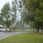 558772971_1260352359226754_6550196713307933450_n