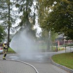 558890581_1260352505893406_3941101226507879702_n