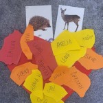 558507418_1259627649299225_7091821906917531903_n