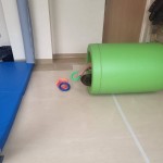 565691133_1269724661622857_3469094203020641421_n