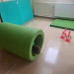 568554270_1269724554956201_8670472329427671260_n