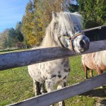 575184551_1283656653562991_5530483722679774387_n