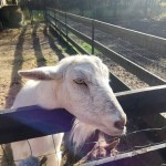 576704328_1283657096896280_1336387794897959965_n