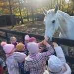 577016576_1283657063562950_6450209206059506888_n