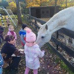 577898631_1283656896896300_5166362408943682580_n