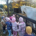 577974782_1283656970229626_8001611222297478731_n