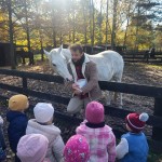 578467061_1283656840229639_2057987266309585850_n