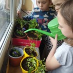 496845093_1144196110842380_2591590295126727192_n