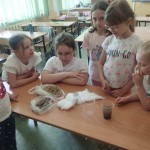 498215579_1144196327509025_4276072473487258995_n