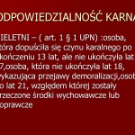 b16fcbb66b297269cba190cc23760941-10